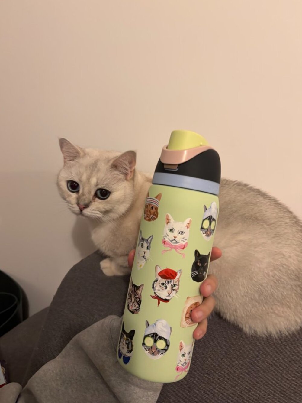 Owala FreeSip 32oz Cat Collage Catwala Urban Outfitters Exclusive Water Bottle